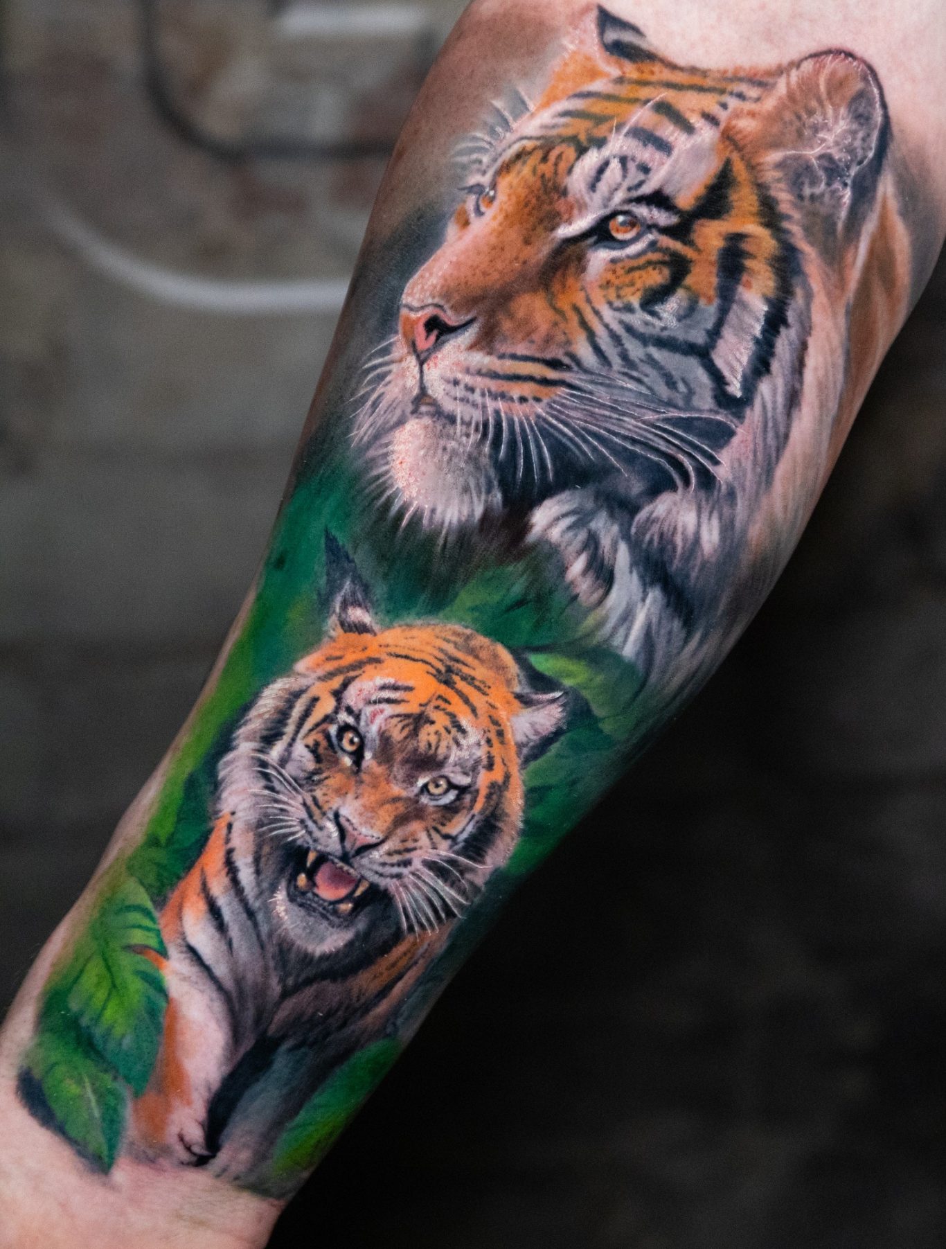 Color Realism